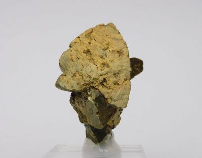 Chalkopyrit - Mount Lyell Mines, Tasmánie, Austrálie